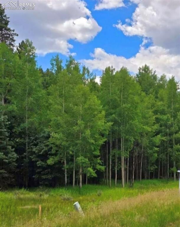 662 Spring Valley Lane Florissant, CO 80816 - Photo 6 of 7 a view of a backyard with a garden