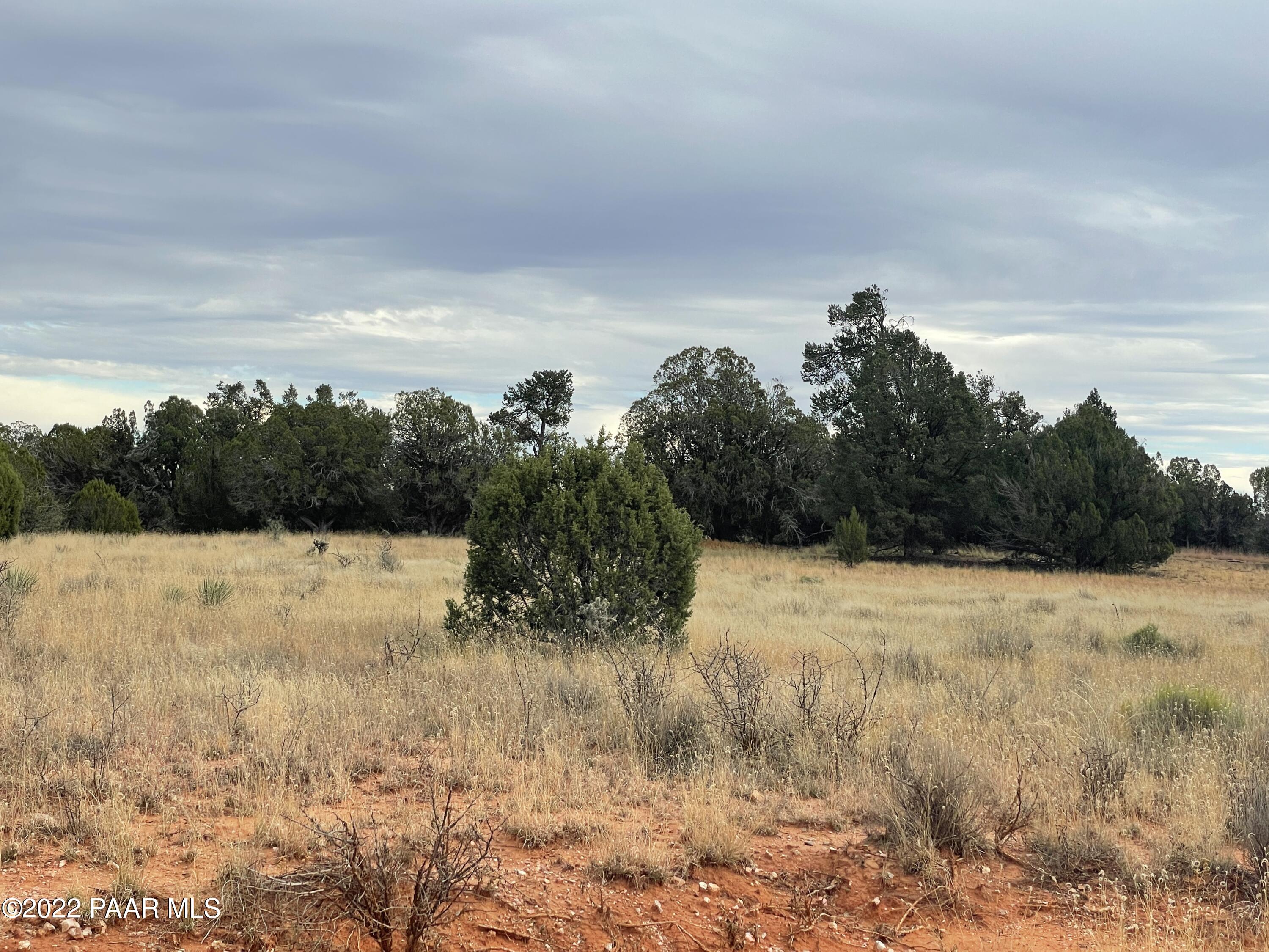 Lot 37-sw Wooden Ear Ranch Road Seligman, AZ 86337 - Photo 3 of 7 a view of a yard and mountain