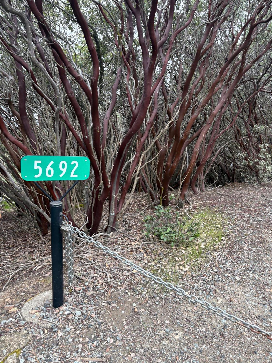 0 Jackass Ridge Road Coulterville, CA 95311 - Photo 3 of 11 Gallery Image 3