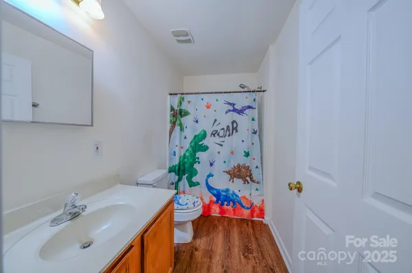 a bathroom with a sink a vanity and a shower curtain