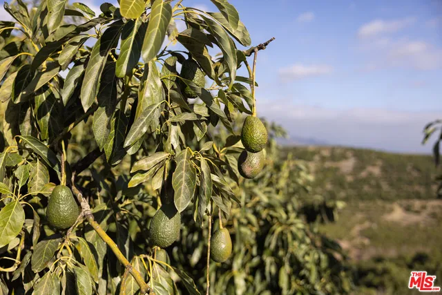 $6,250,000 | 1500 Camino Meleno, Santa Barbara, CA 93105