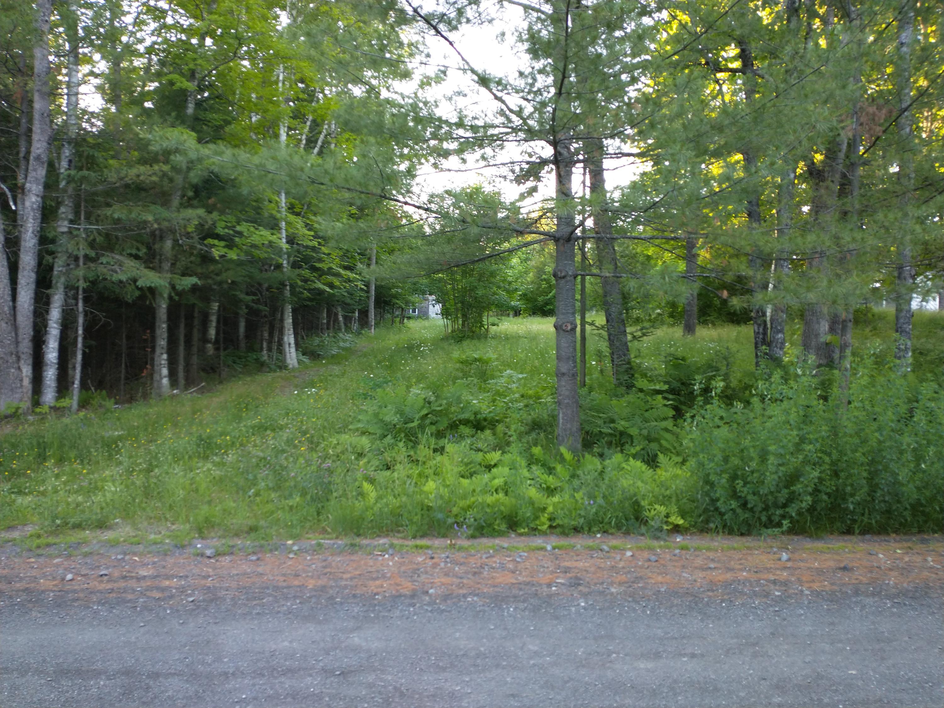 28 Glass Hill Road Guilford, ME 04443 - Photo 81 of 89 IMG_20210623_192358145