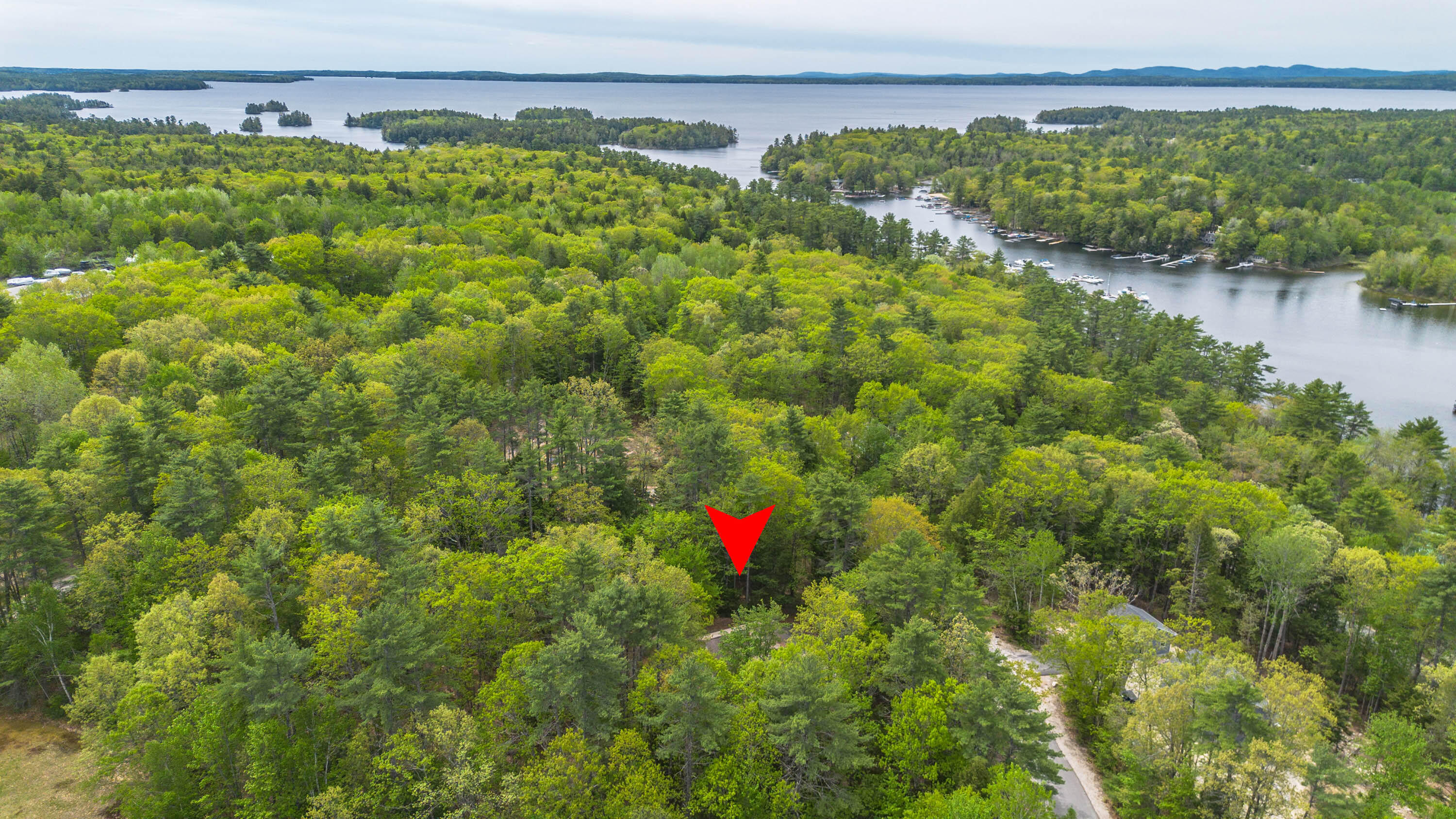 52 Alice Road Casco, ME 04015 - Photo 51 of 54 20260521gp-61010a
