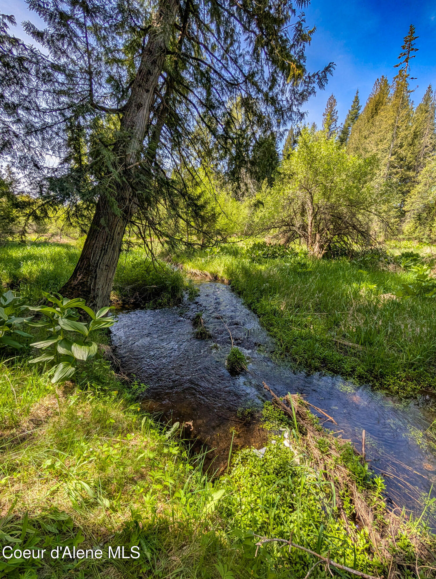 288 Lignite Road Sagle, ID 83860 - Photo 4 of 63 288_Lignite_Rd-3