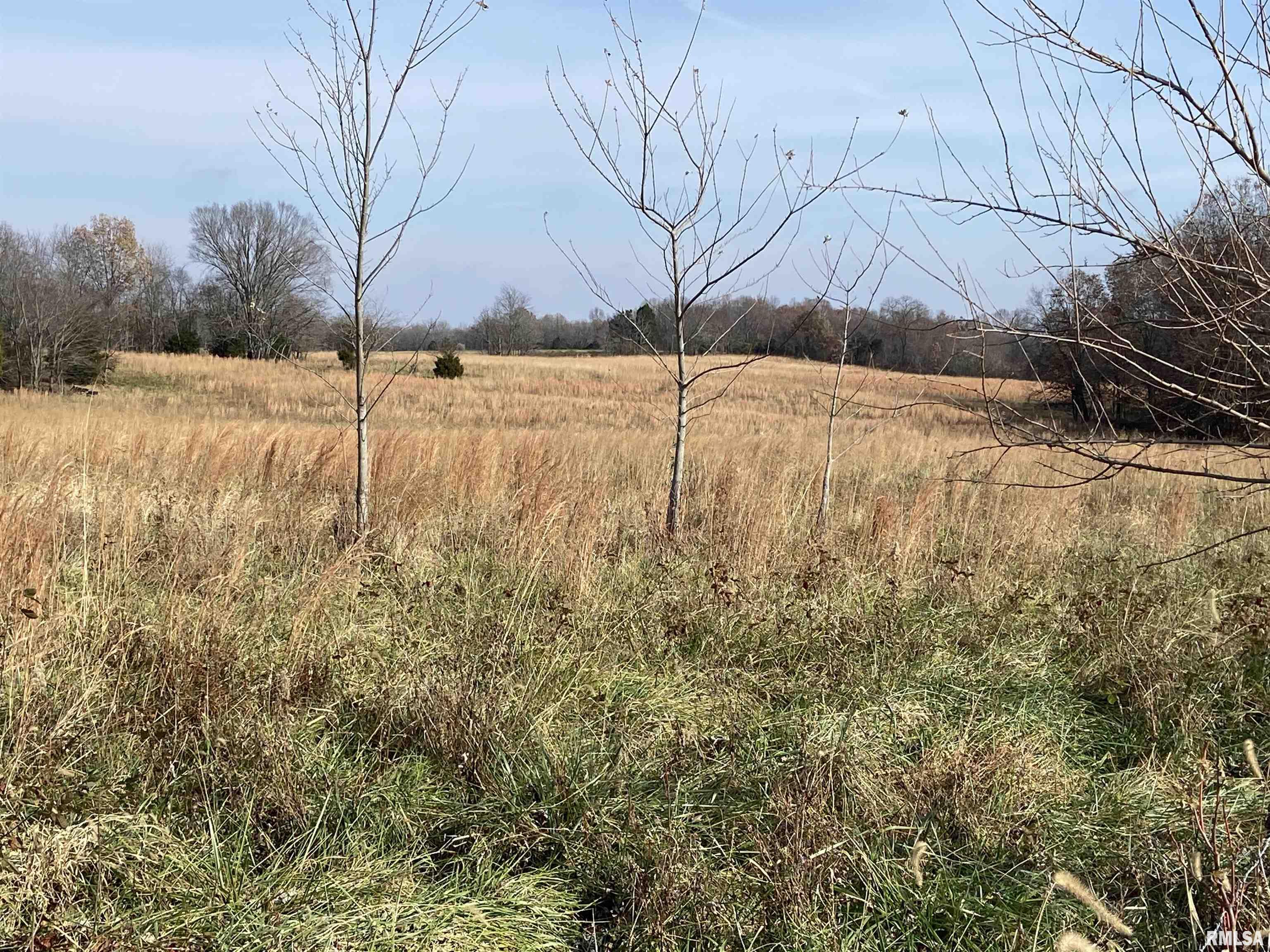 270 Dry Fork Road Ozark, IL 62972 - Photo 20 of 21