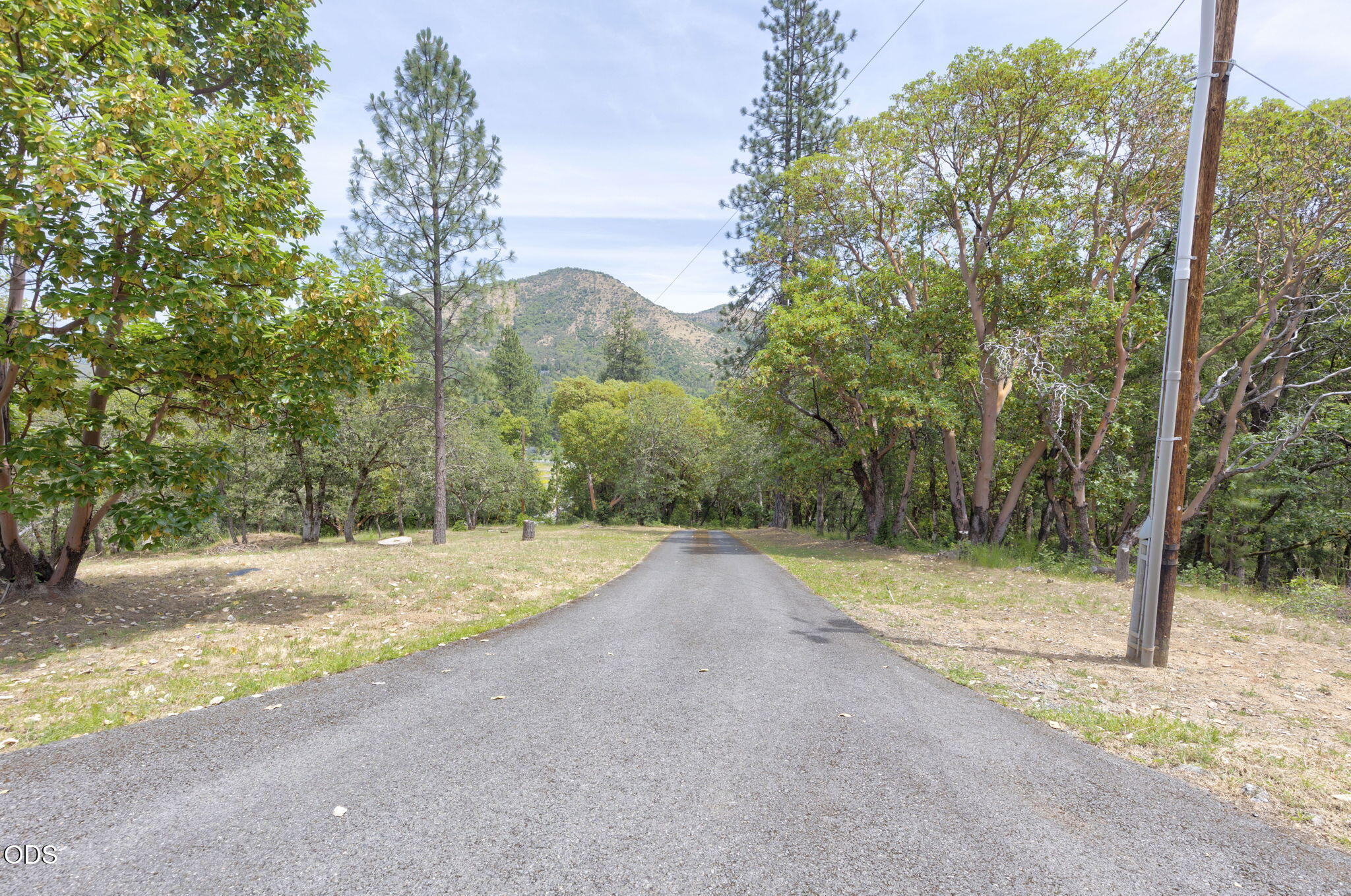 410 Schieffelin Gulch Road Gold Hill, OR 97525 - Photo 52 of 76