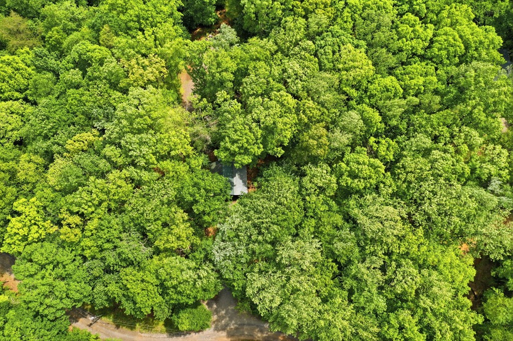 1564 Big Ben Road Ellijay, GA 30540 - Photo 45 of 63 Gallery Image 45
