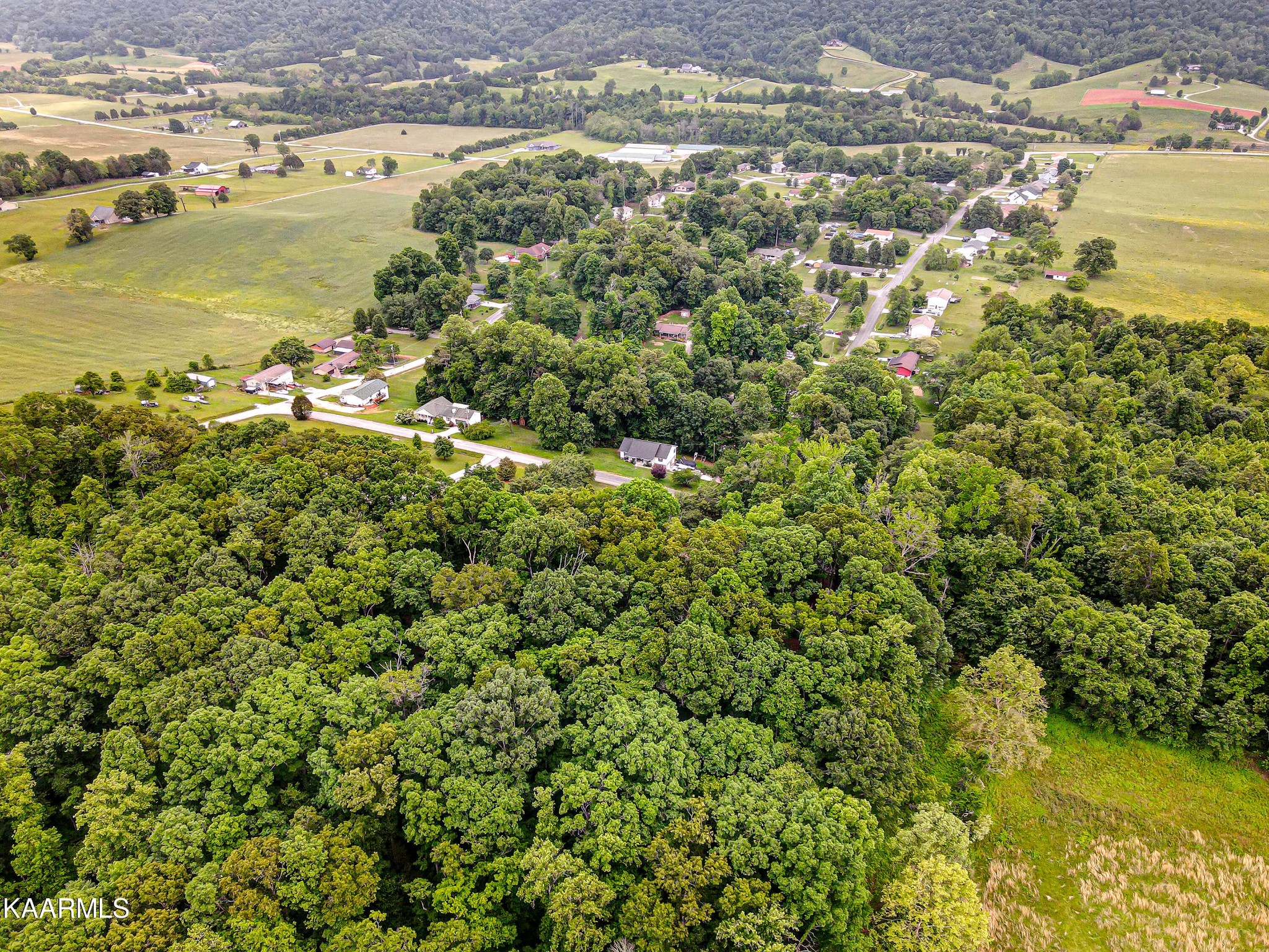 521 Big Valley Road Andersonville, TN 37705 - Photo 28 of 37 Gallery Image 28