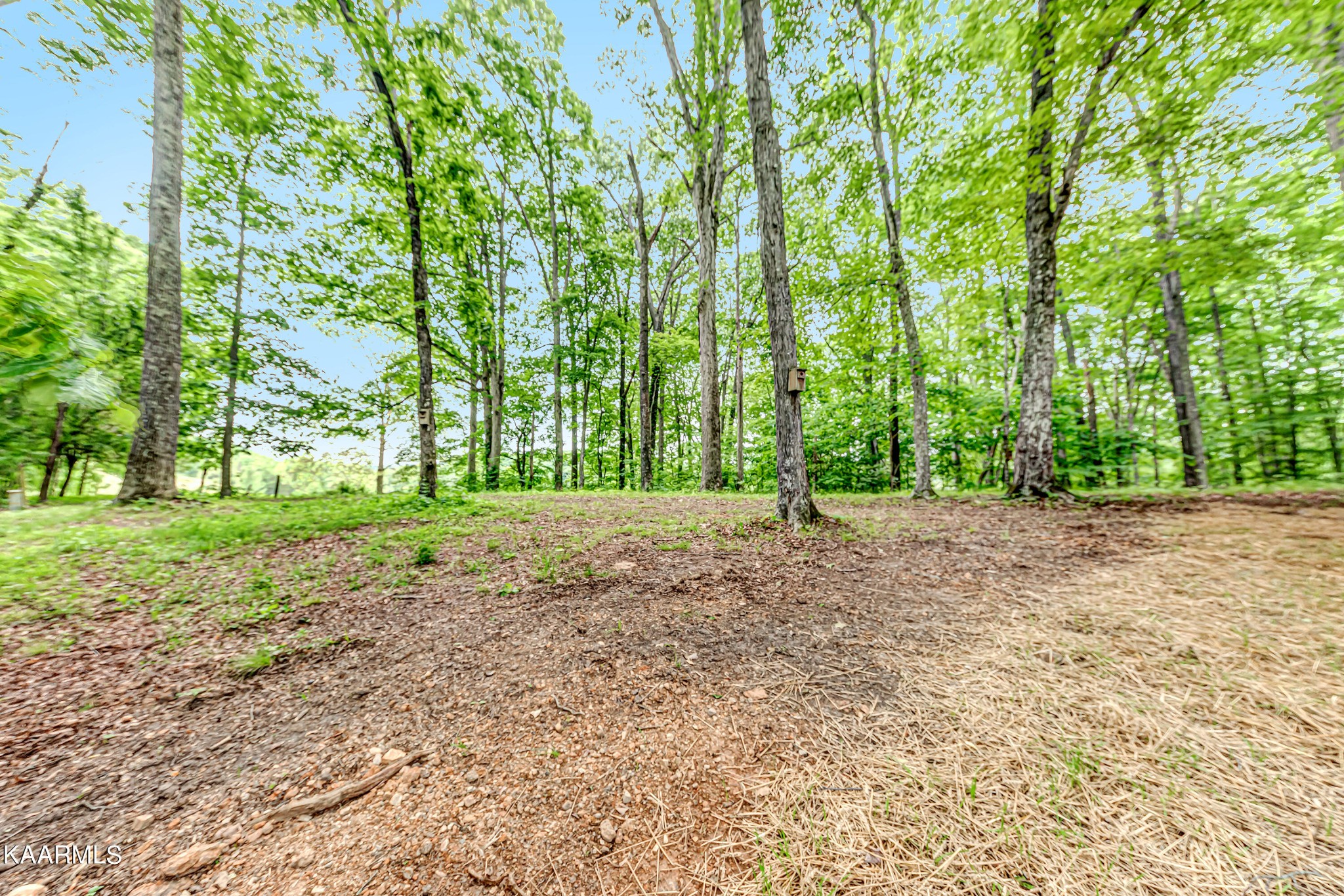 521 Big Valley Road Andersonville, TN 37705 - Photo 31 of 37 Gallery Image 31