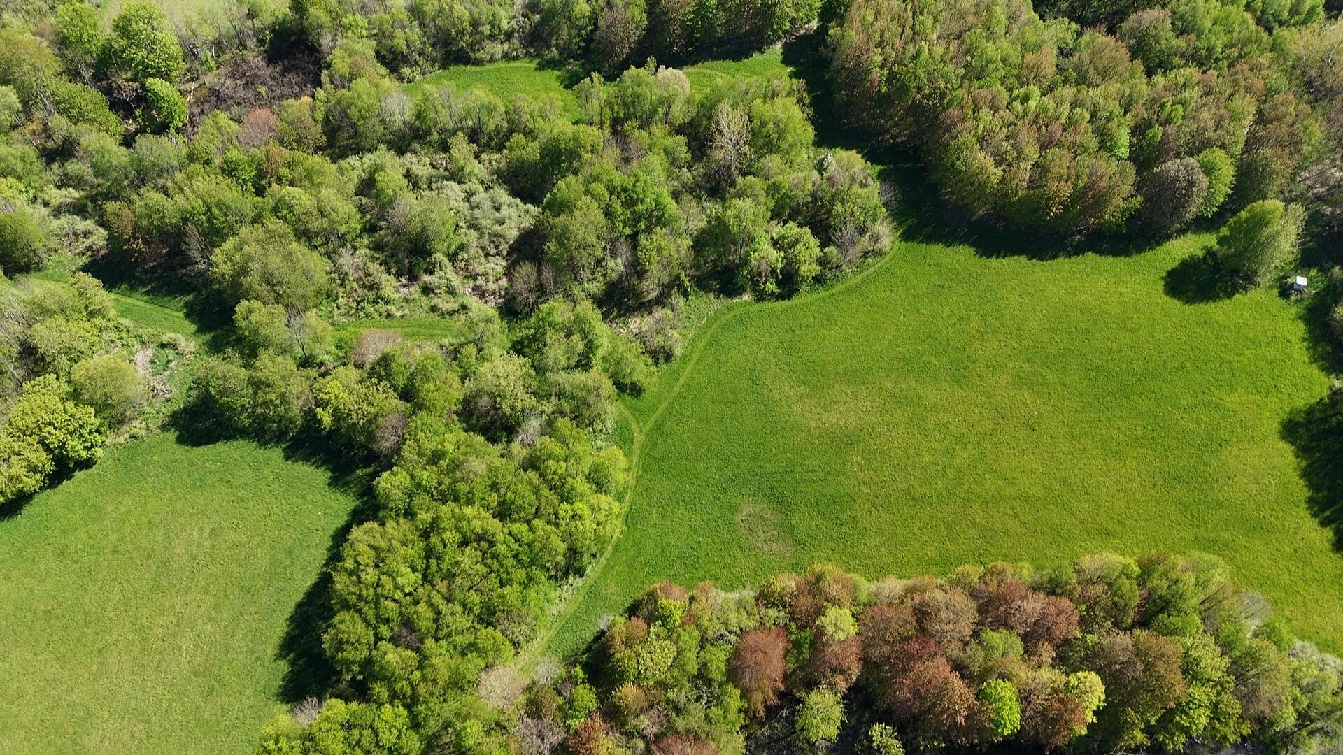 2665 East Wilson Road Custer, MI 49405 - Photo 7 of 19 Aerial
