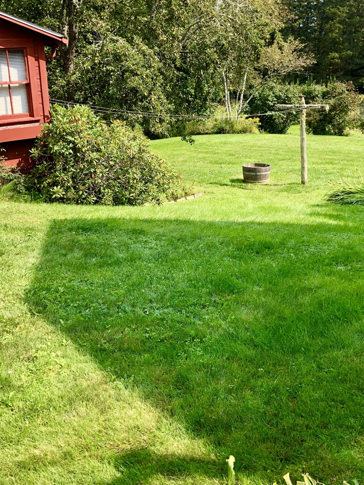 104 Bernard Road Bernard, ME 04612 - Photo 51 of 63 Back yard