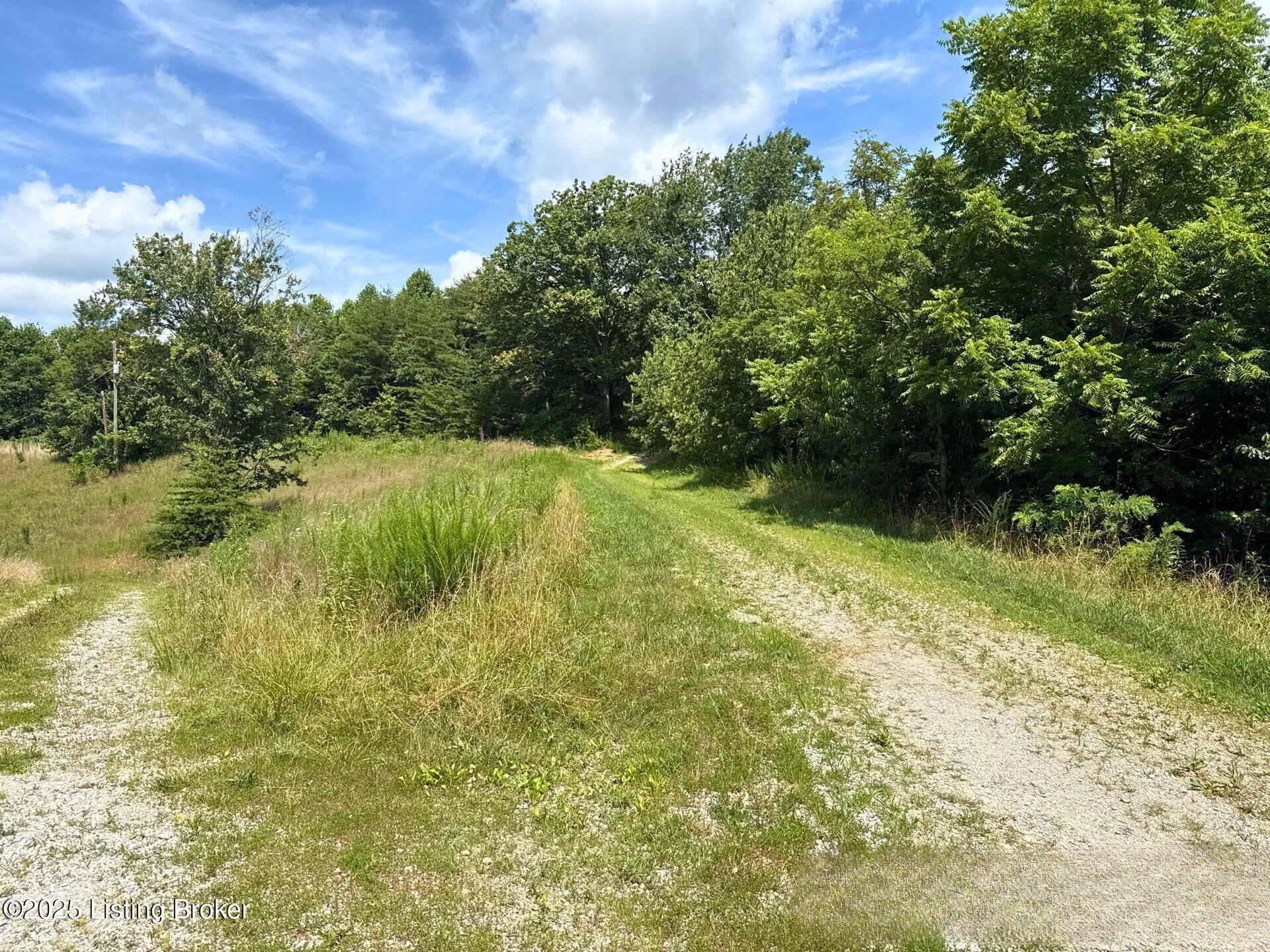 311 Combs Cemetery Road Ricetown, KY 41364 - Photo 4 of 4 4