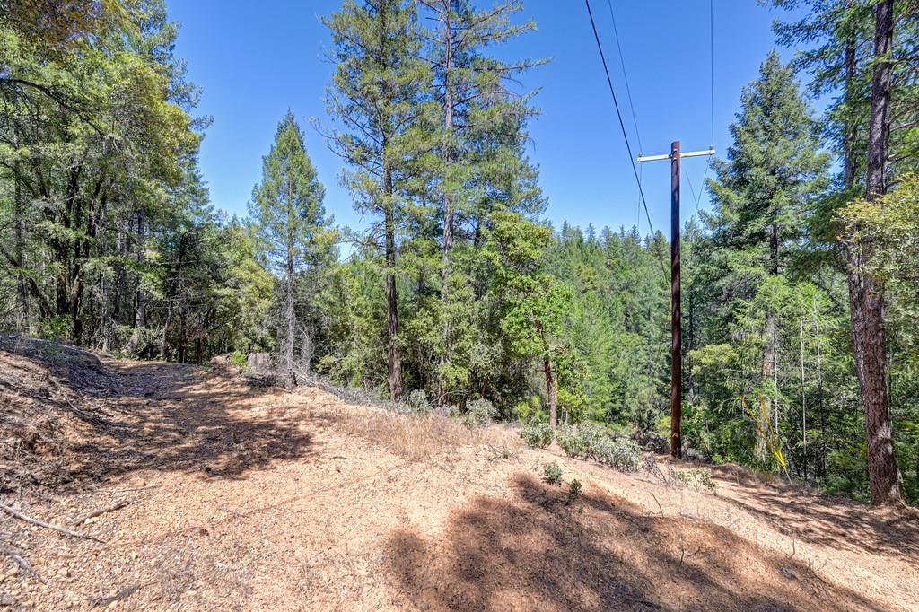23505 Grand View Way Colfax, CA 95713 - Photo 28 of 32
