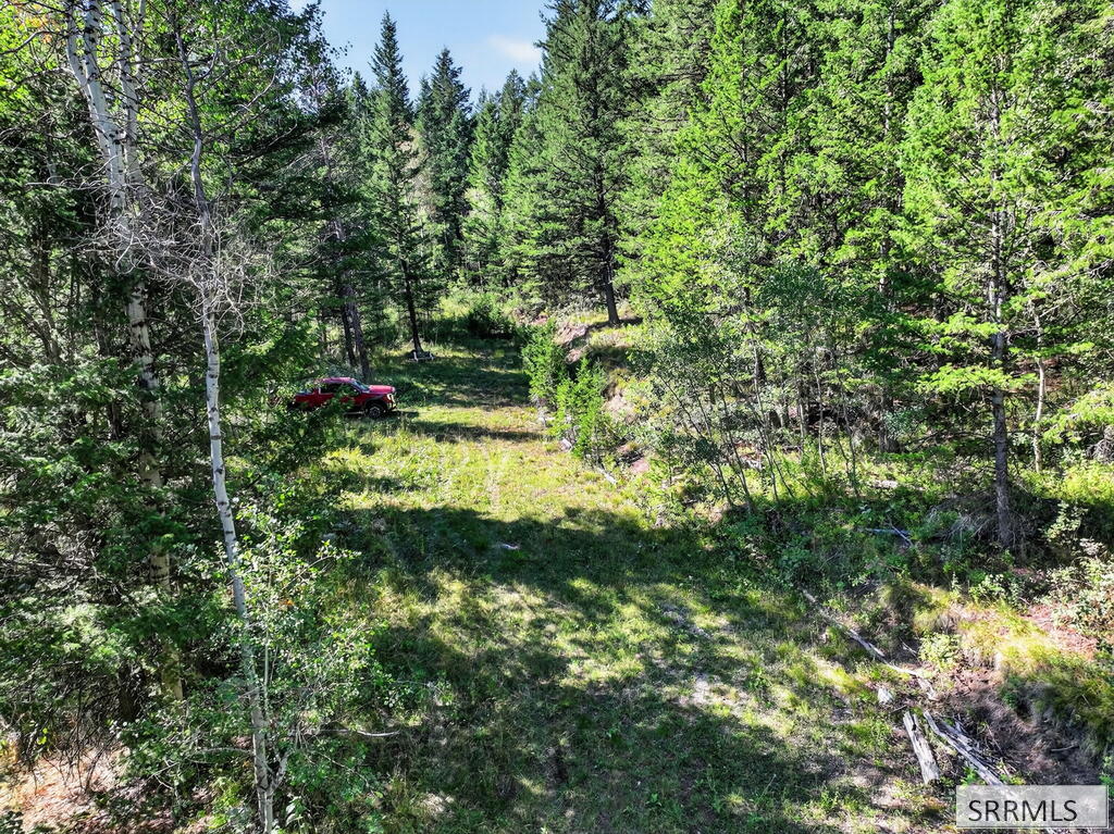 Tbd Coyote Run Lava Hot Springs, ID 83246 - Photo 2 of 22 Gallery Image 2
