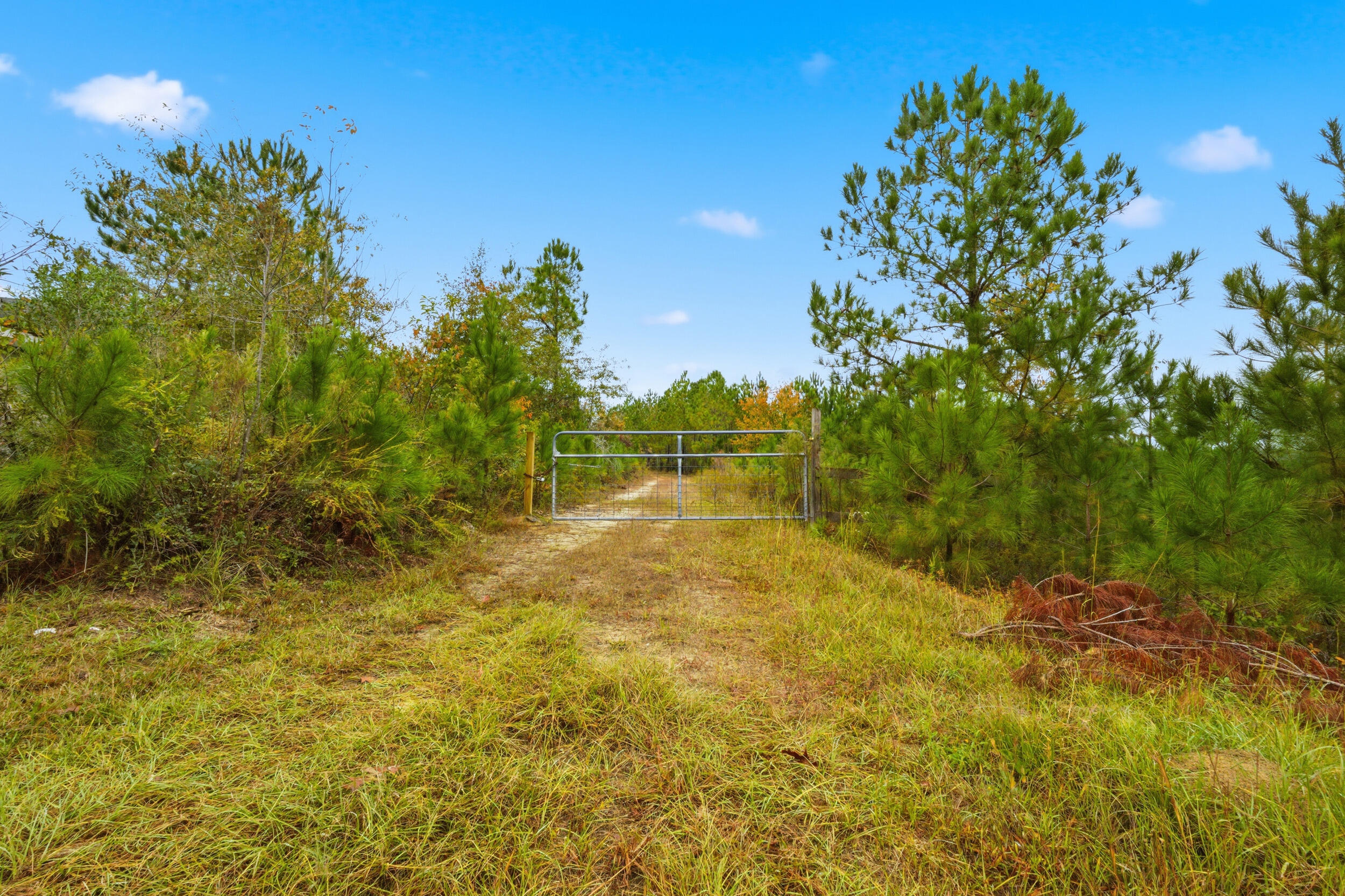 2427 B Wire Road Aiken, SC 29805 - Photo 1 of 21 img_4869