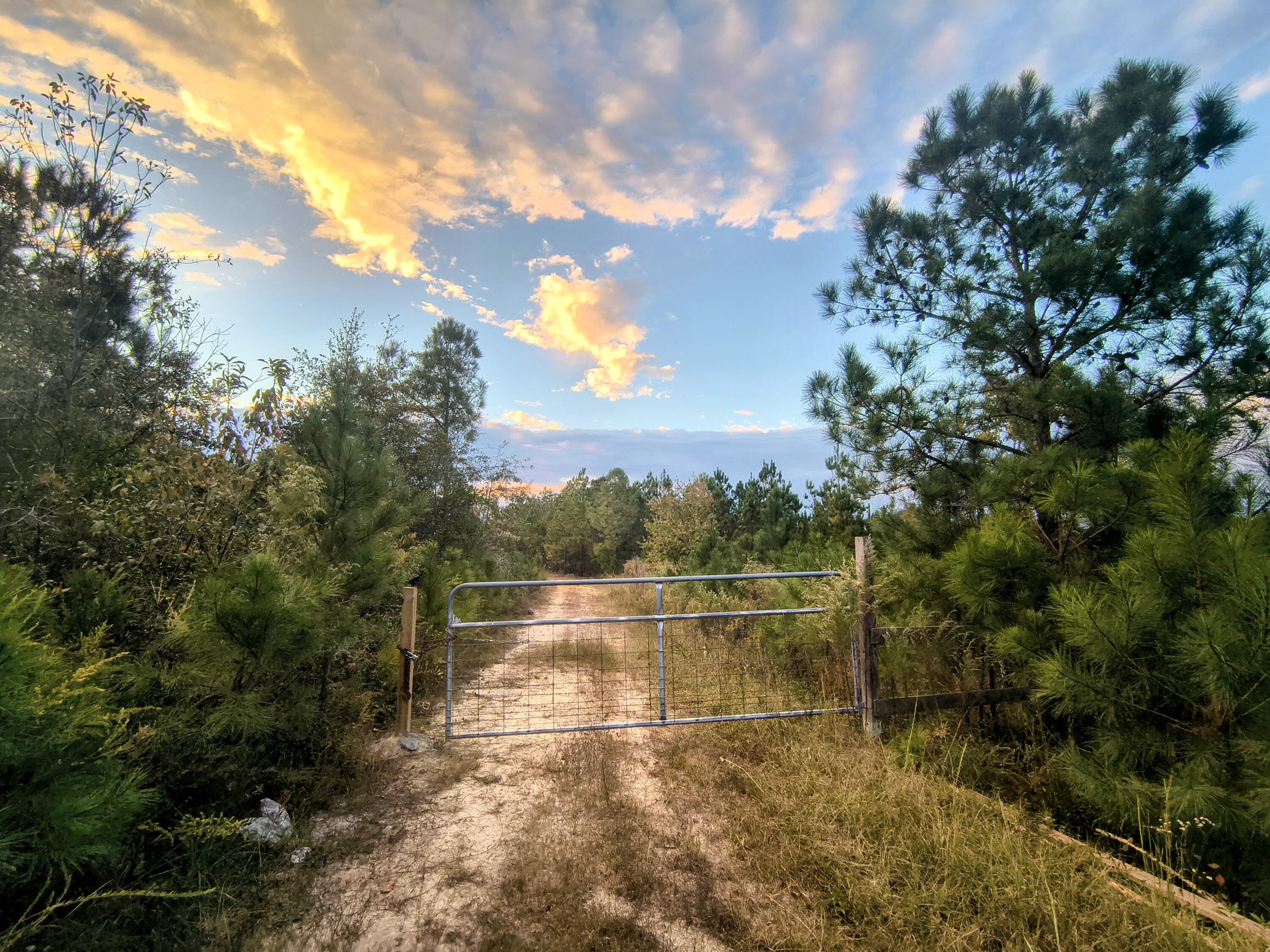 2427 B Wire Road Aiken, SC 29805 - Photo 2 of 21 44 Acres
