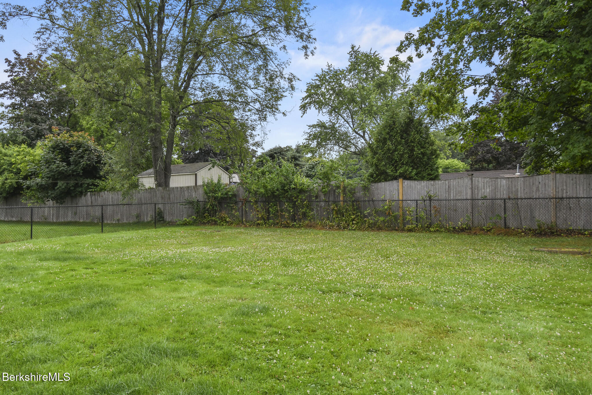 36 Dalton Division Road Dalton, MA 01226 - Photo 5 of 35 a view of a backyard with a trees