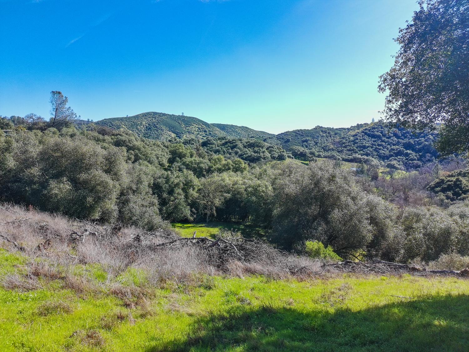 19 Leonard Road San Andreas, CA 95249 - Photo 11 of 15 a view of a backyard with a sink