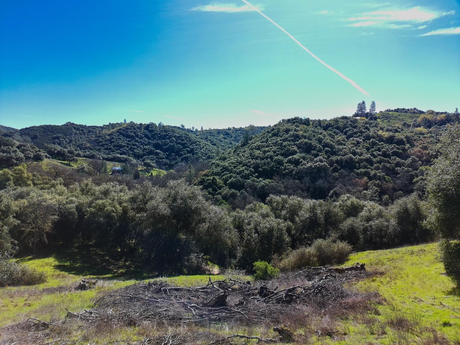 19 Leonard Road San Andreas, CA 95249 - Photo 12 of 15 a view of a back yard