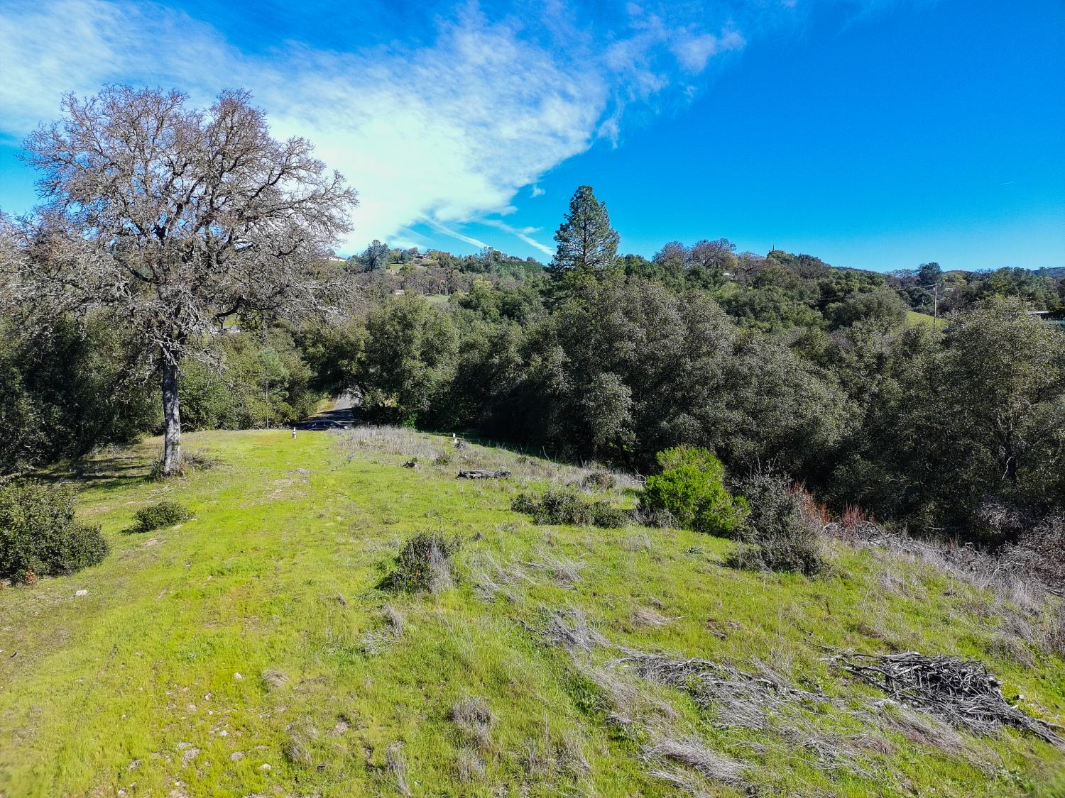 19 Leonard Road San Andreas, CA 95249 - Photo 13 of 15 a view of a yard with an trees
