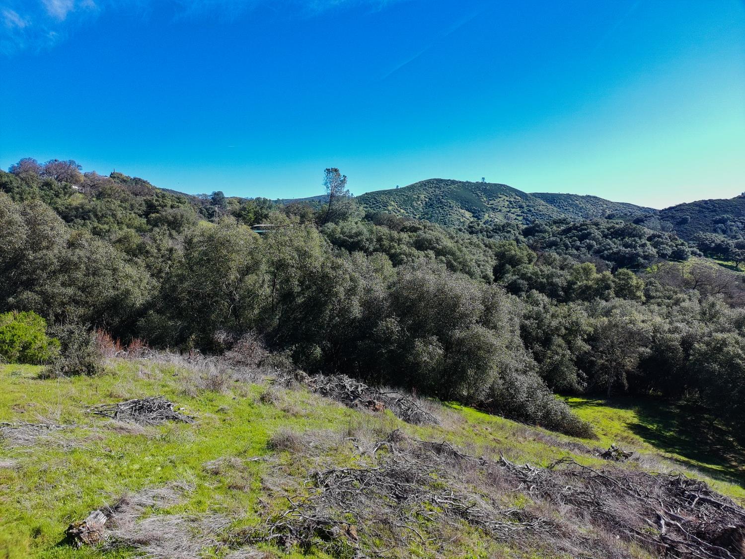 19 Leonard Road San Andreas, CA 95249 - Photo 14 of 15 a view of a house with a yard