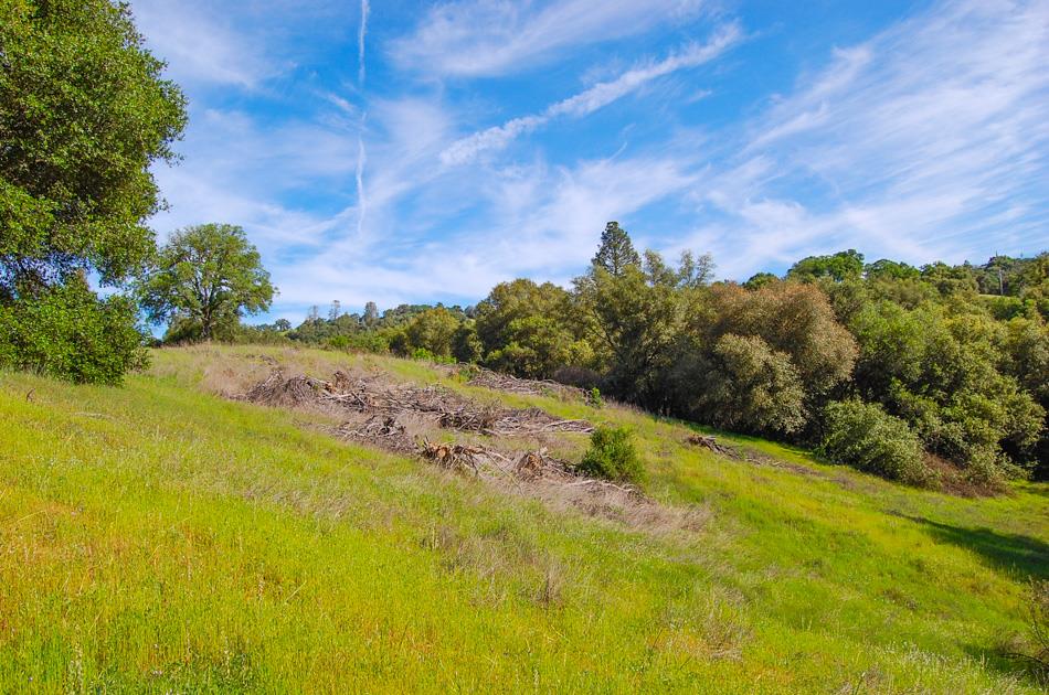 19 Leonard Road San Andreas, CA 95249 - Photo 18 of 57
