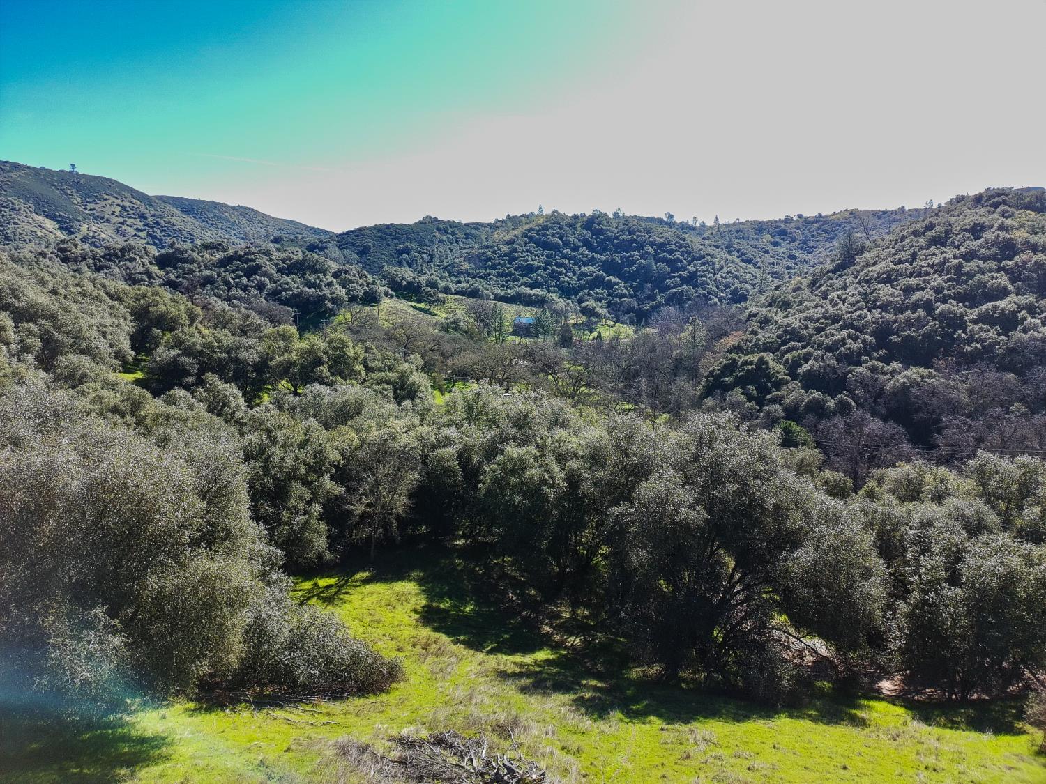 19 Leonard Road San Andreas, CA 95249 - Photo 2 of 15 a view of a bunch of trees and mountains