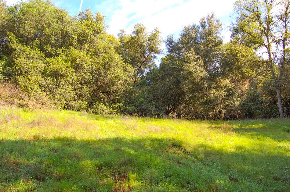 19 Leonard Road San Andreas, CA 95249 - Photo 22 of 57