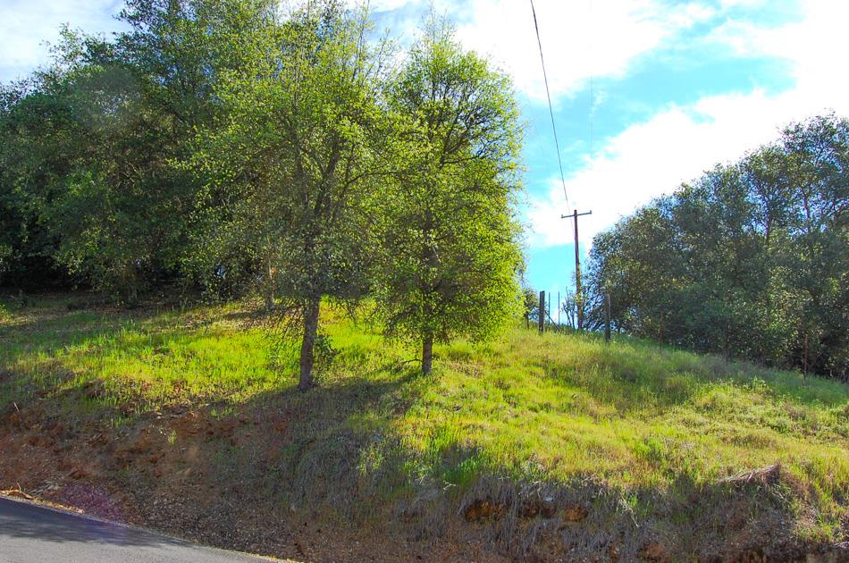 19 Leonard Road San Andreas, CA 95249 - Photo 32 of 57