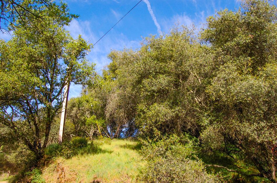 19 Leonard Road San Andreas, CA 95249 - Photo 36 of 57
