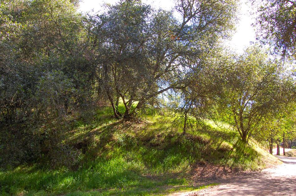 19 Leonard Road San Andreas, CA 95249 - Photo 39 of 57
