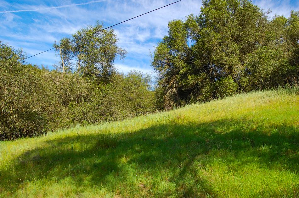 19 Leonard Road San Andreas, CA 95249 - Photo 40 of 57 a view of lake background with houses