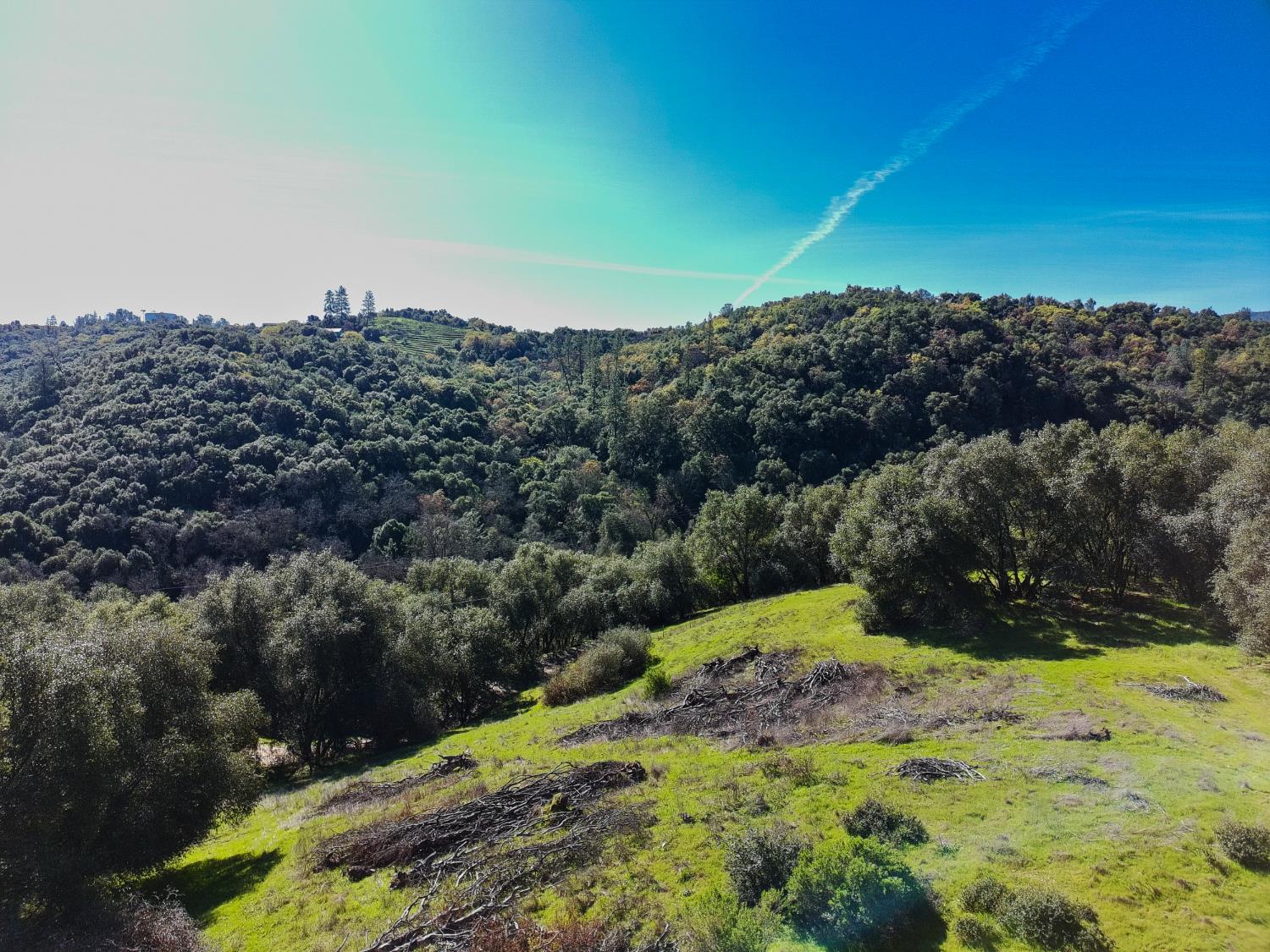 19 Leonard Road San Andreas, CA 95249 - Photo 4 of 15 a view of a yard