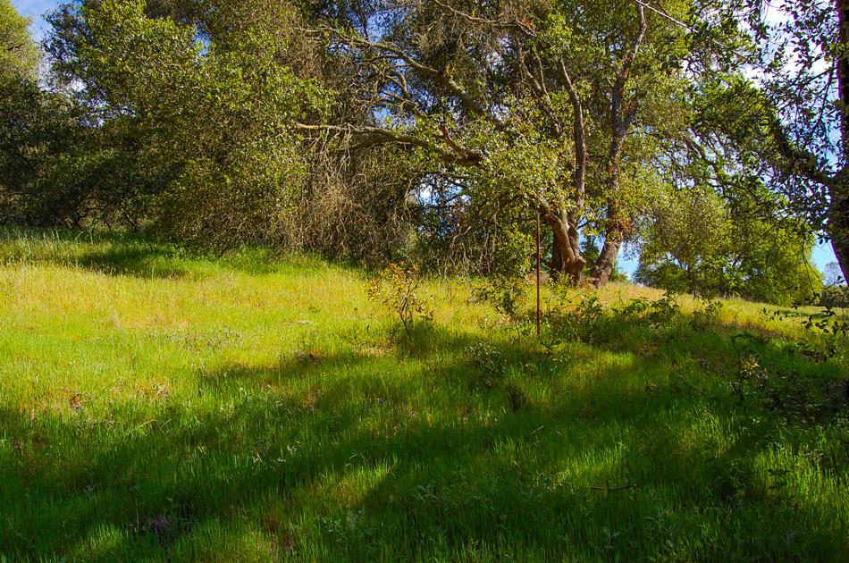 19 Leonard Road San Andreas, CA 95249 - Photo 41 of 57