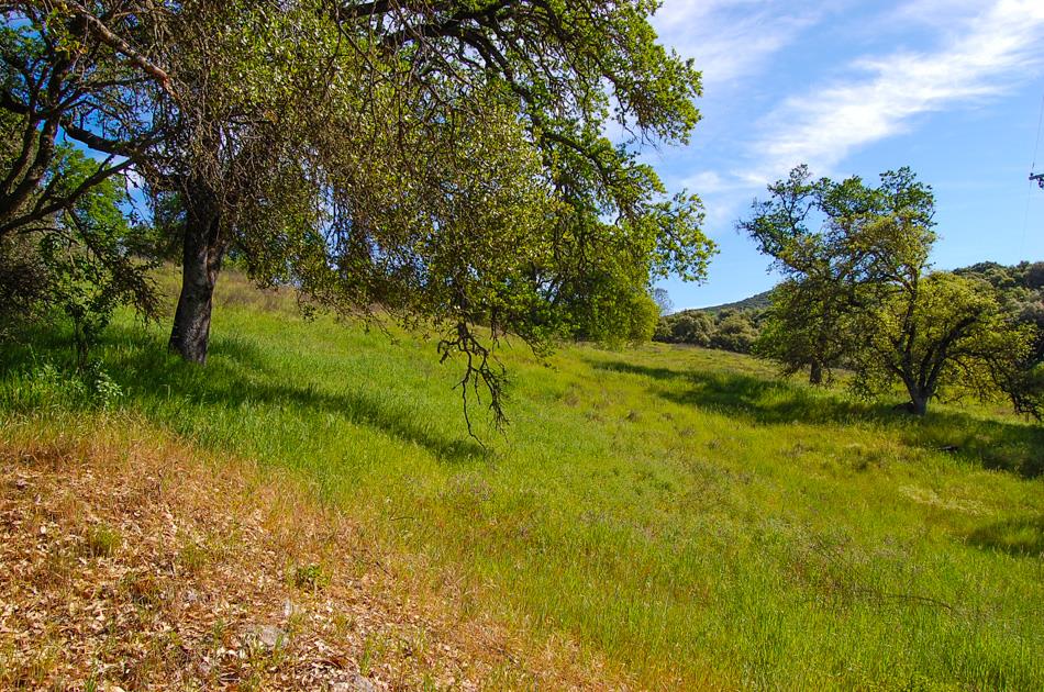 19 Leonard Road San Andreas, CA 95249 - Photo 42 of 57
