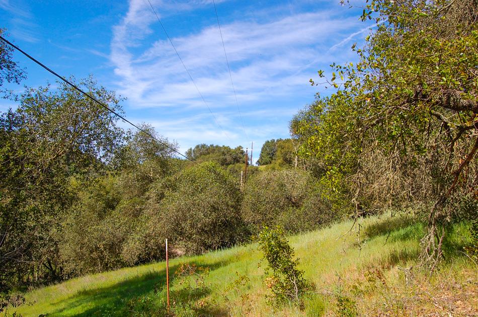19 Leonard Road San Andreas, CA 95249 - Photo 43 of 57 a view of lake and mountain