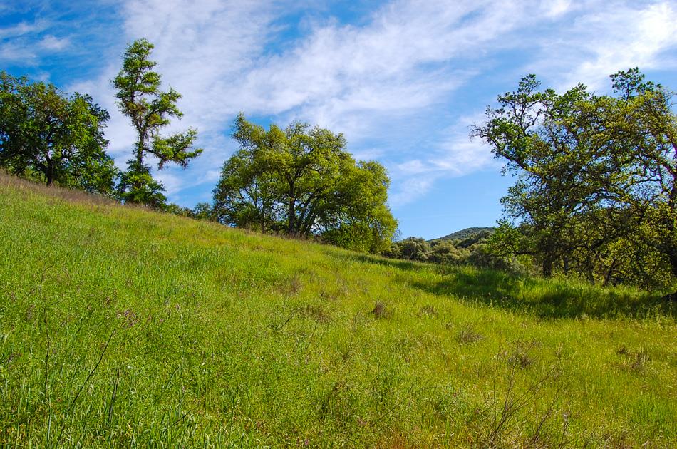 19 Leonard Road San Andreas, CA 95249 - Photo 45 of 57