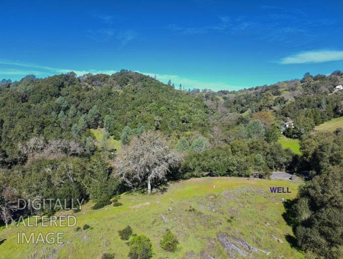 19 Leonard Road San Andreas, CA 95249 - Photo 6 of 15 a view of a large yard with lots of trees