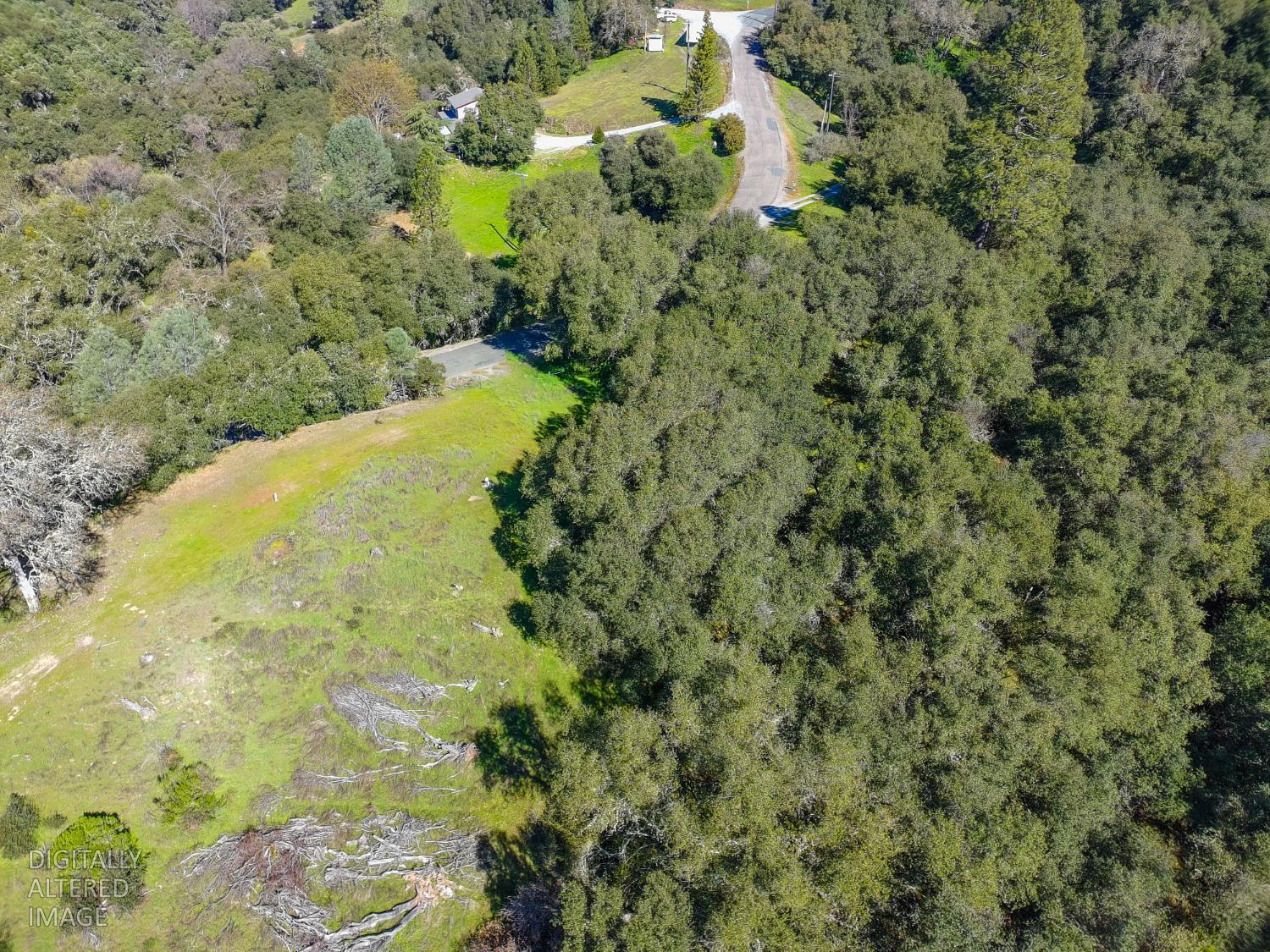 19 Leonard Road San Andreas, CA 95249 - Photo 8 of 15 a view of a yard with trees