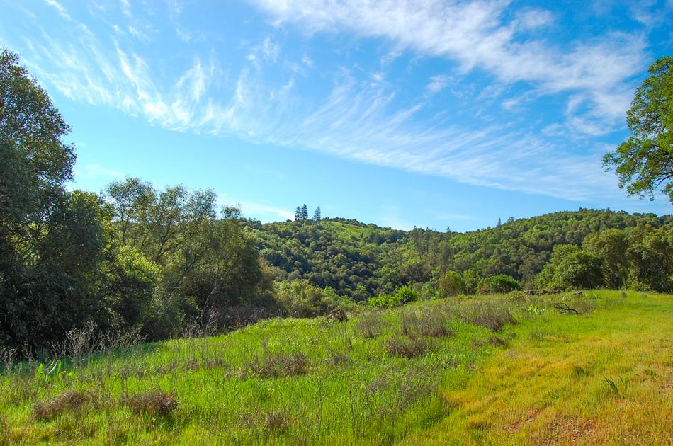 19 Leonard Road San Andreas, CA 95249 - Photo 9 of 57