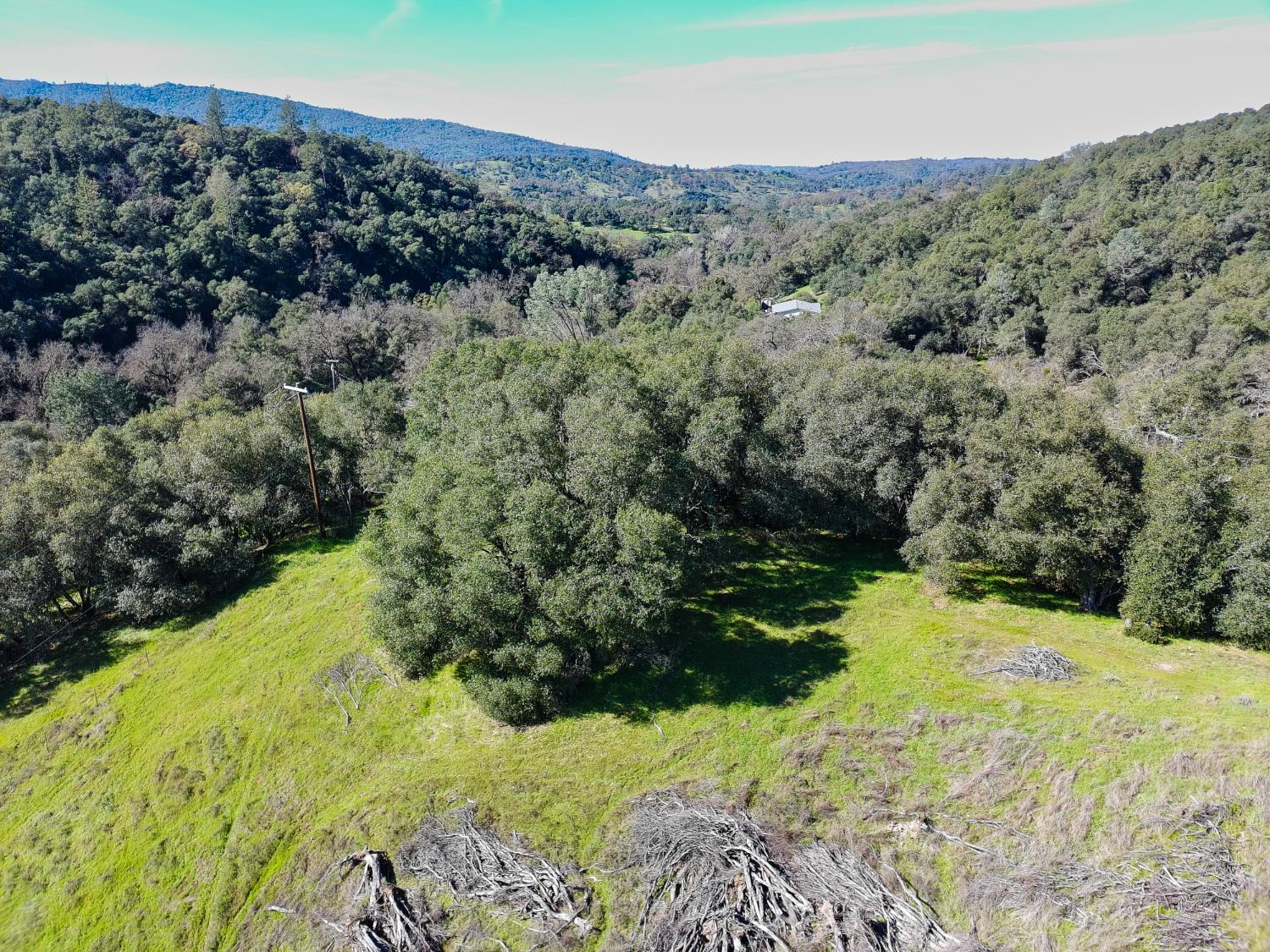 19 Leonard Road San Andreas, CA 95249 - Photo 9 of 15 a view of a yard with a tree
