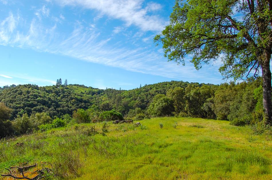 19 Leonard Road San Andreas, CA 95249 - Photo 10 of 57 a view of a garden