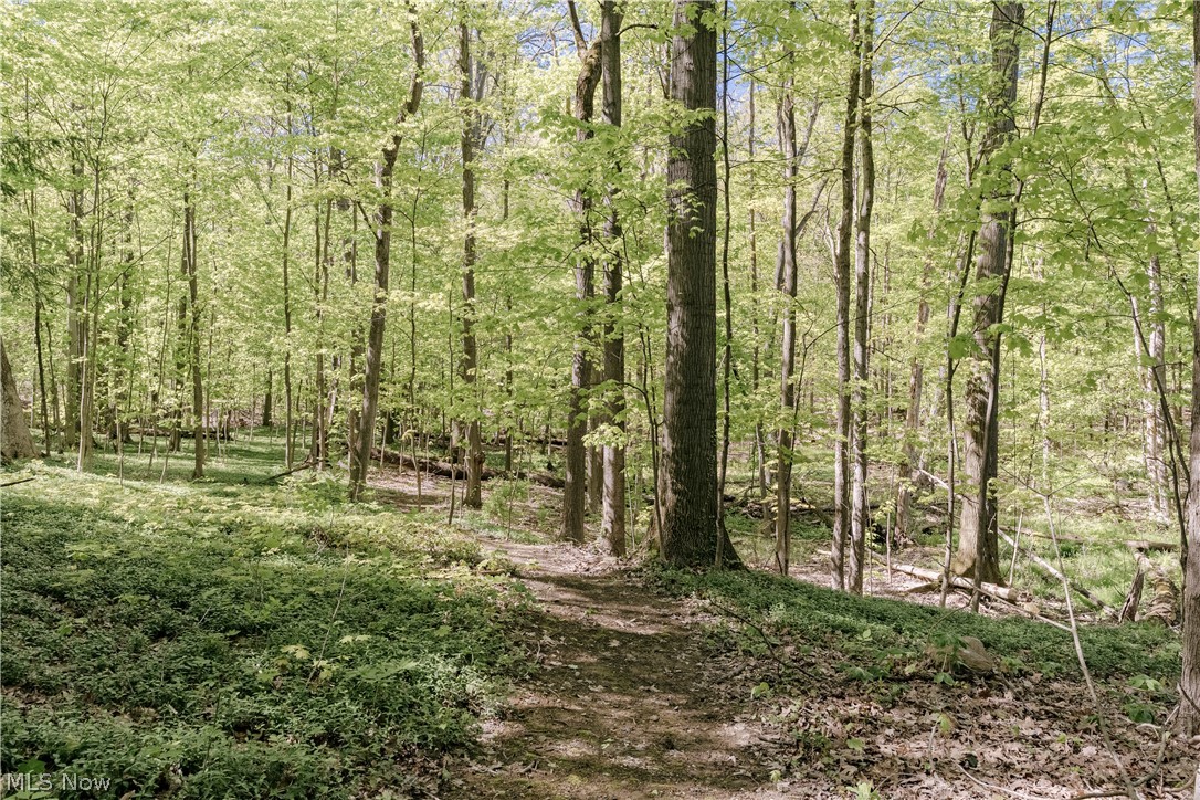 33475 Miles Road Moreland Hills, OH 44022 - Photo 46 of 50