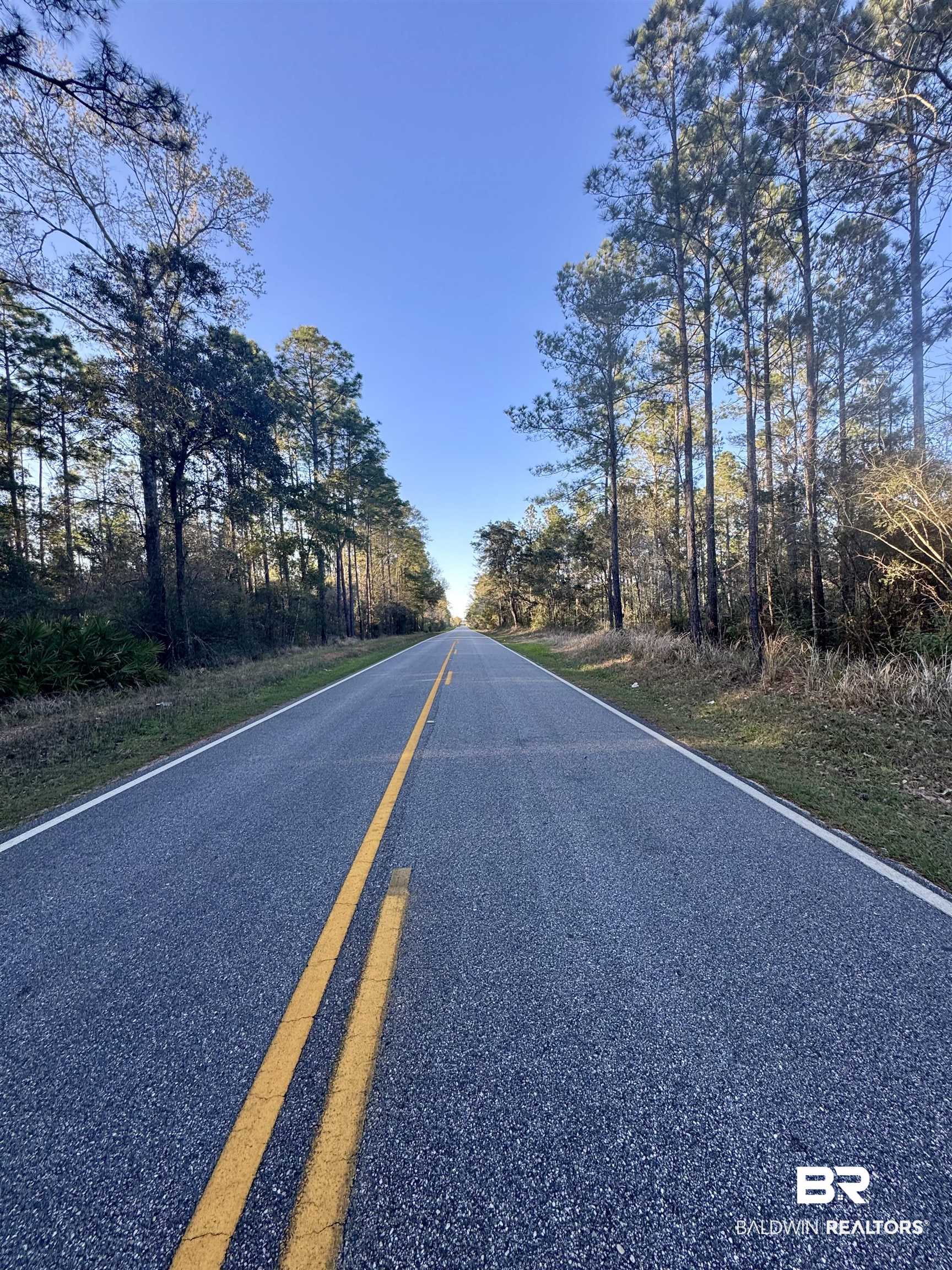 16690 CC Road Elberta, AL 36530 - Photo 2 of 19 CC Road