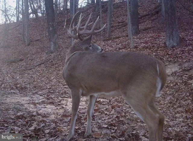 a view of an outdoor space and a lake view