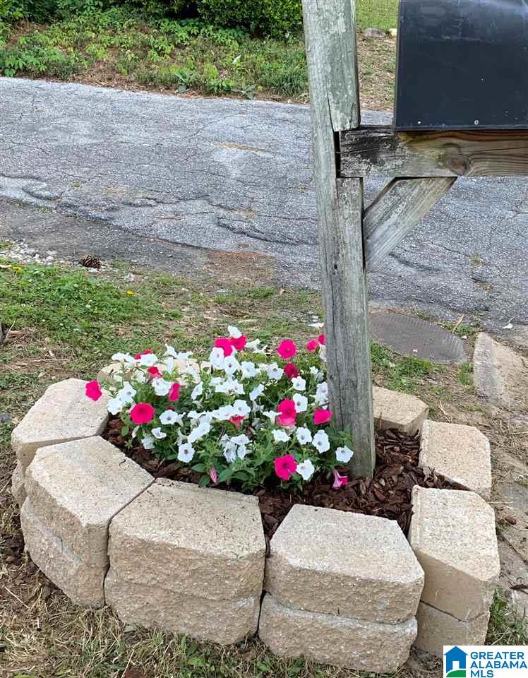 3418 Loch Ridge Trail Hoover, AL 35216 - Photo 2 of 38