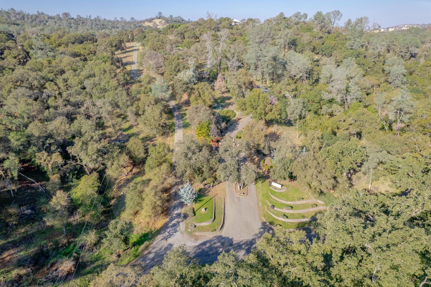 5545 Garden Bar Road Lincoln, CA 95648 - Photo 17 of 32 a view of a yard with a tree