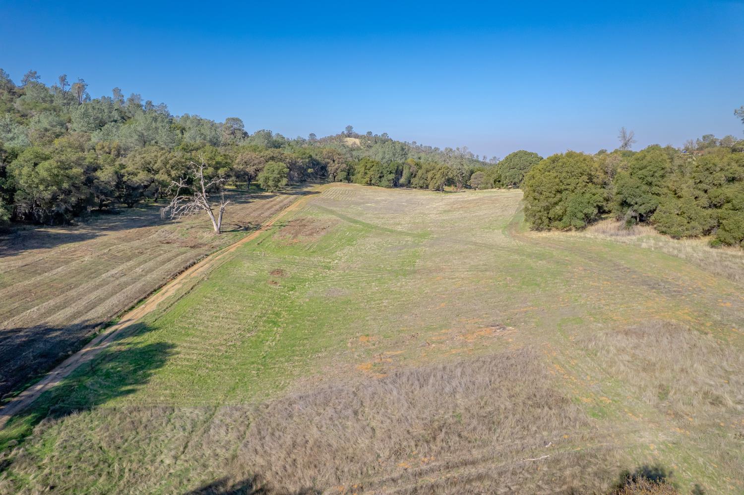 5545 Garden Bar Road Lincoln, CA 95648 - Photo 4 of 32 a view of a field with a yard