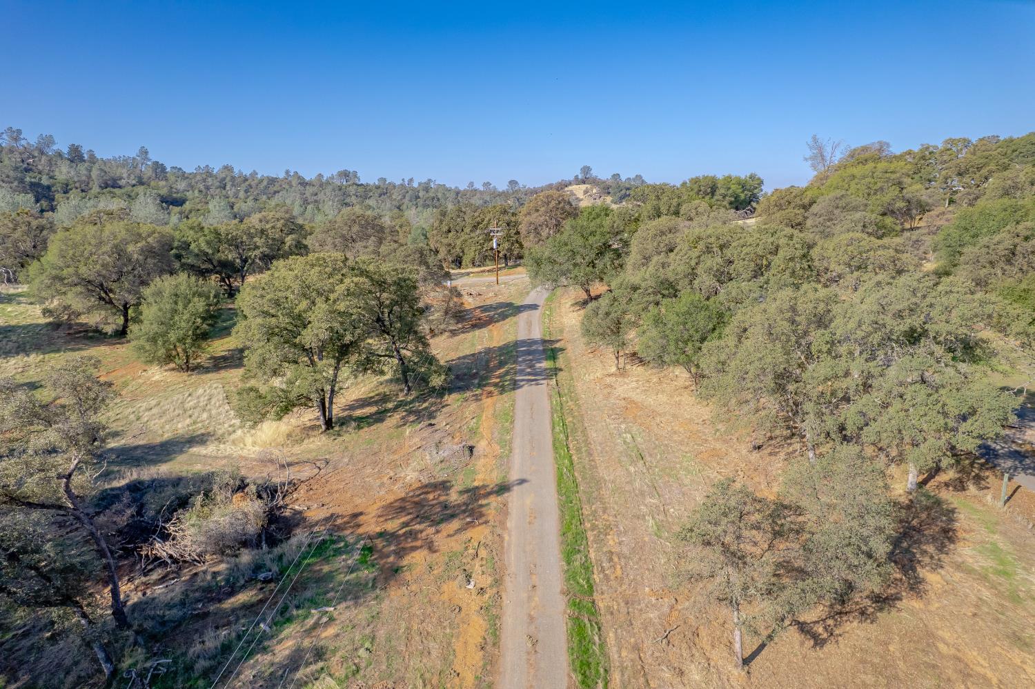 5545 Garden Bar Road Lincoln, CA 95648 - Photo 10 of 32 a view of a yard with a tree