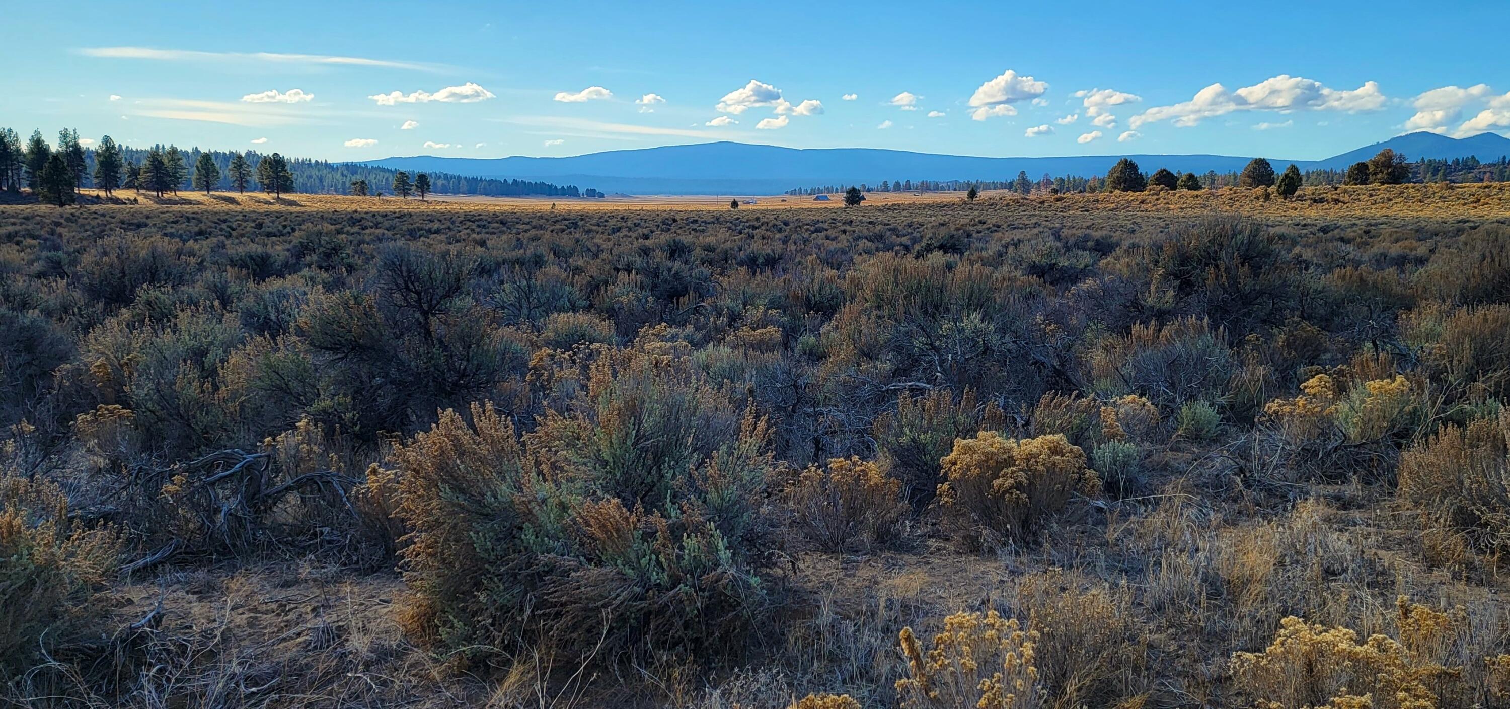 0 Tableland Road, Unit 1400 & 1500 Chiloquin, OR 97624 - Photo 16 of 16 West